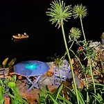 Linamare Ostria * Kivéri
