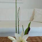 Apartman Linamare Ostria