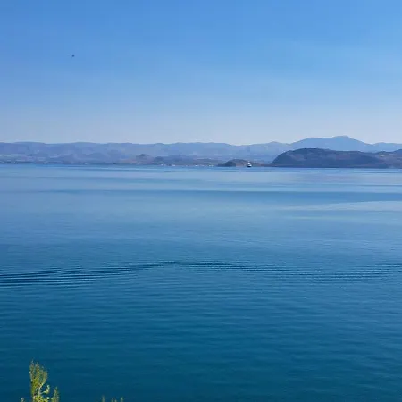 Linamare Ostria * Kivéri