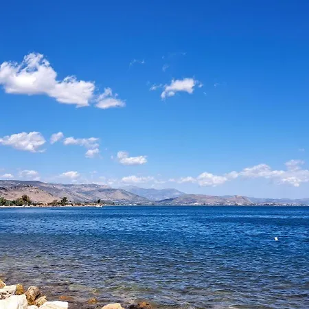 Ostria Linamare * Kiveri