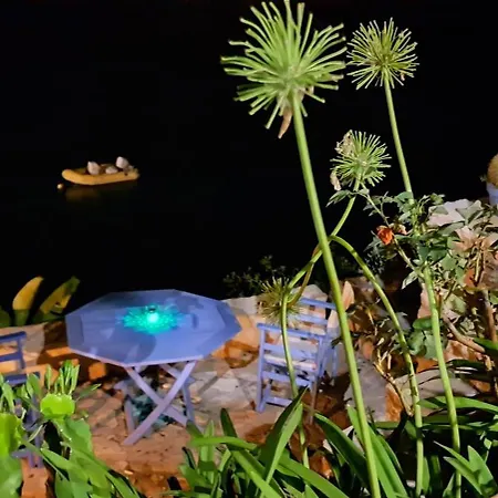 Linamare Ostria * Kivérion