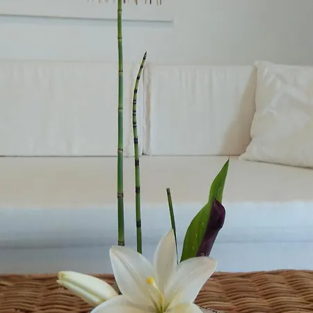 Apartmán Linamare Ostria