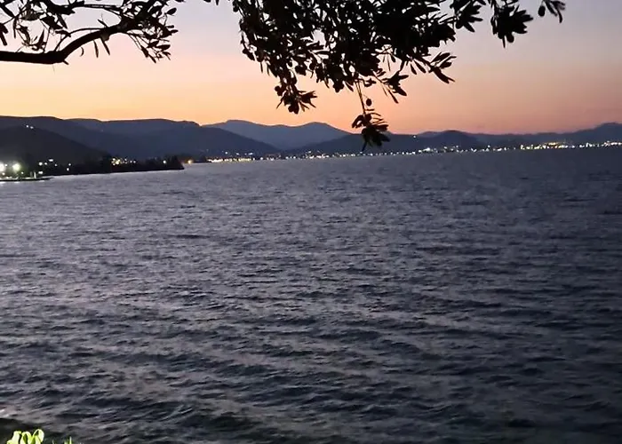 Ostria Linamare * Kiveri