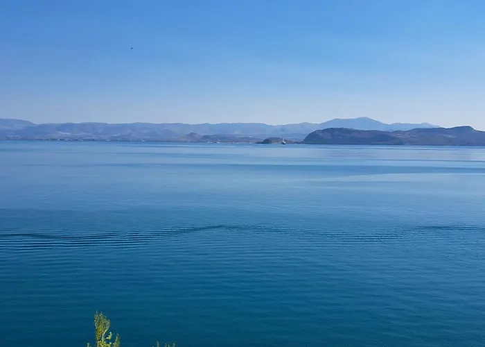 Ostria Linamare * Kiveri